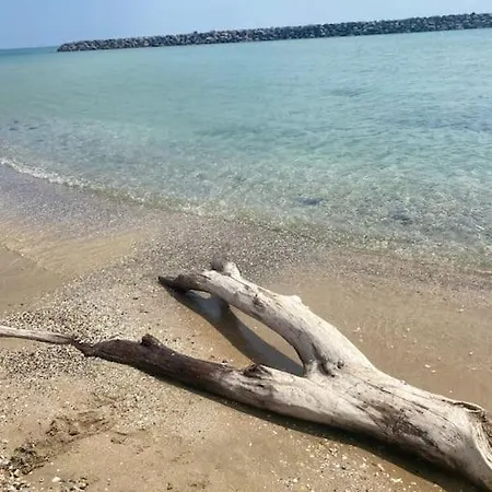Appart T2 Cabine Climatise A 1 Min Mer + Piscine Apartmán